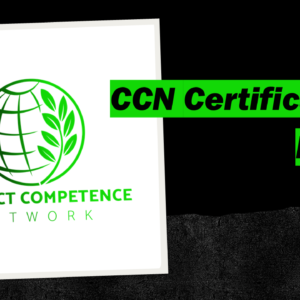 CCN Certification Exam